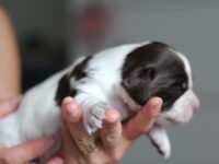 IMG_5284 IMG_5284