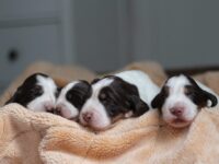 IMG_5344 IMG_5344