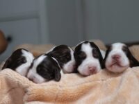 IMG_5346 IMG_5346