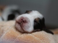 IMG_5359 IMG_5359