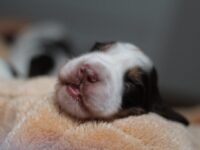 IMG_5360 IMG_5360