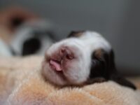 IMG_5361 IMG_5361