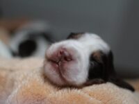 IMG_5363 IMG_5363