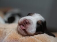 IMG_5364 IMG_5364